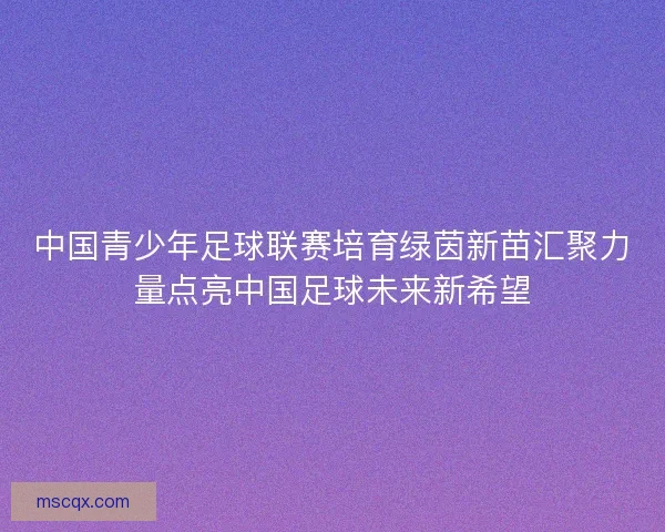 中国青少年足球联赛培育绿茵新苗汇聚力量点亮中国足球未来新希望